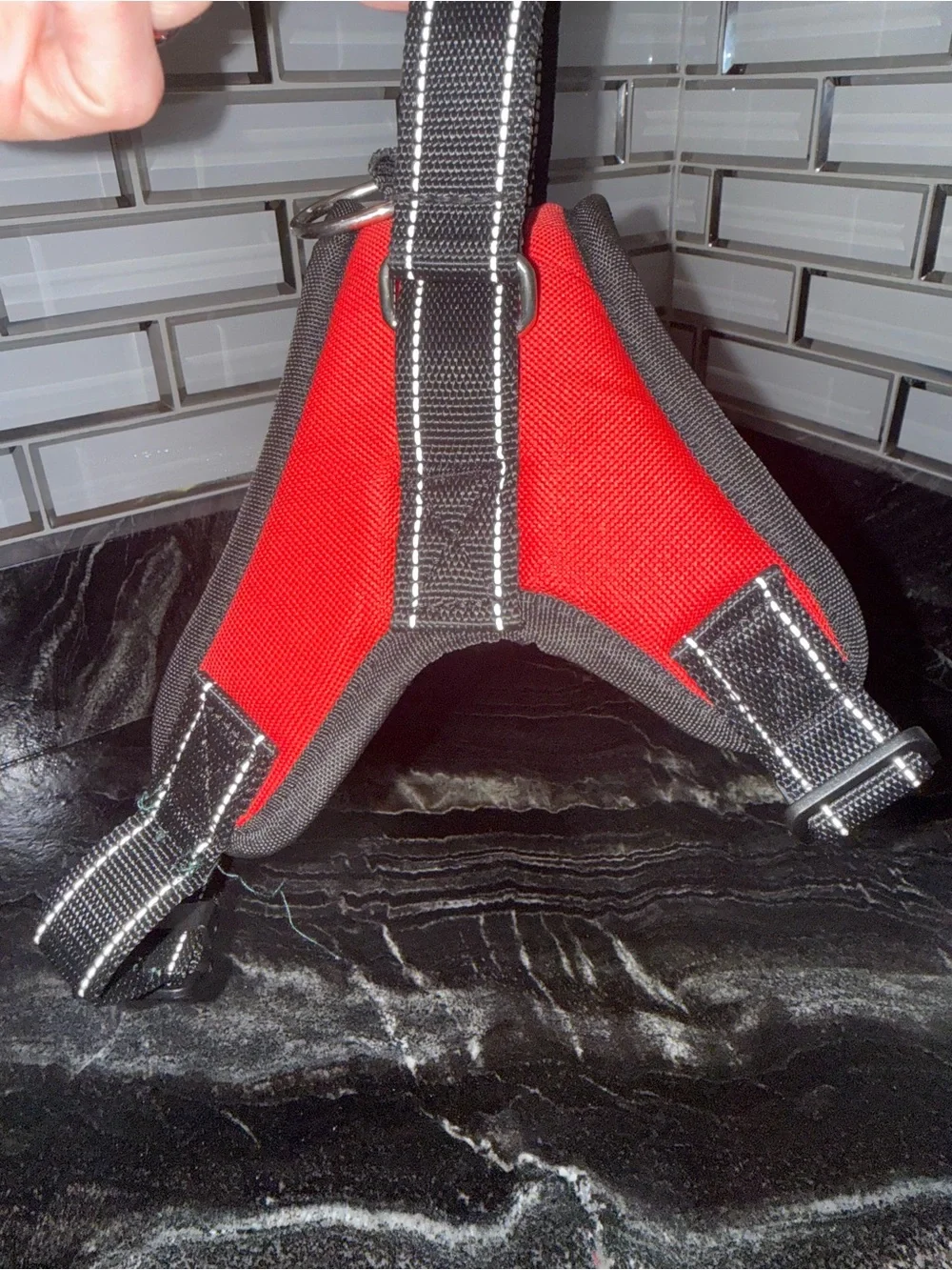 Tail Red Padded Dog Harness with Black Leash